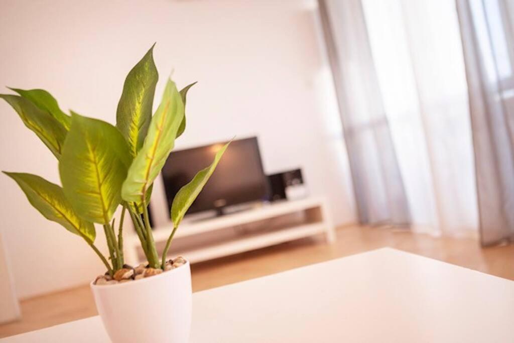 Sea City View W/ 2Bd 1Bt Free Street Parking Rijeka Ngoại thất bức ảnh